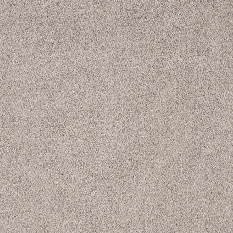 Goreayn New Materials (Zhejiang)Co., Ltd.